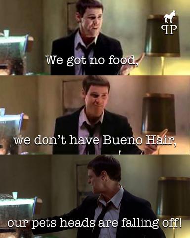 dumb and dumber Lloyd pets heads falling off meme