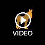 <iframe width="560" height="315" src=p6sz8dyvoiw_.html frameborder="0" allow="accelerometer; autoplay; clipboard-write; encrypted-media; gyroscope; picture-in-picture" allowfullscreen></iframe>