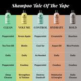 DRY Shampoo & Hair Volumizer (New)