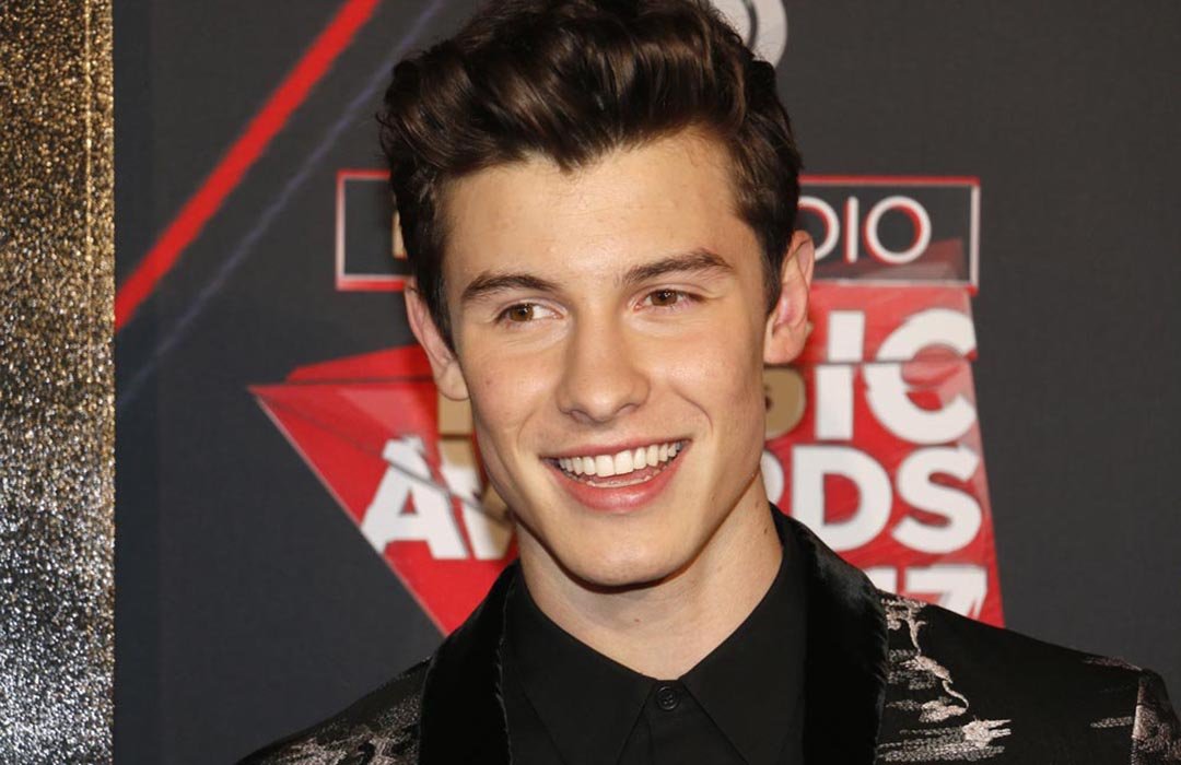 shawn mendes pompadour
