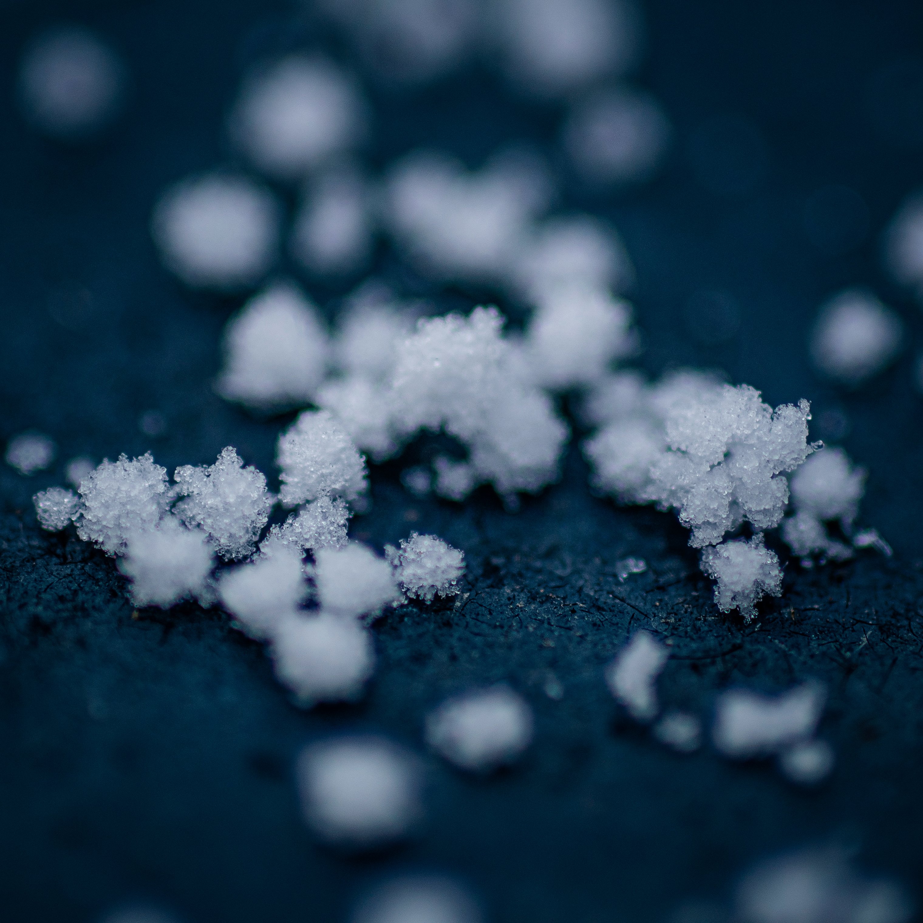Dandruff/Itchy Hair