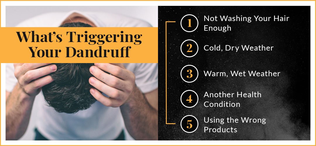 what's triggering your dandruff graphic